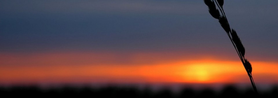 Ripercorrendo la mia storia vocazionale...